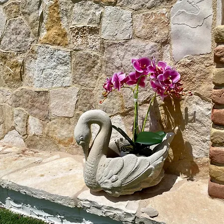 Residenza Collina & Romantic פורטו קונטה