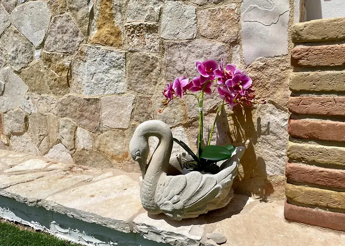 Residenza Collina & Romantic Porto Conte